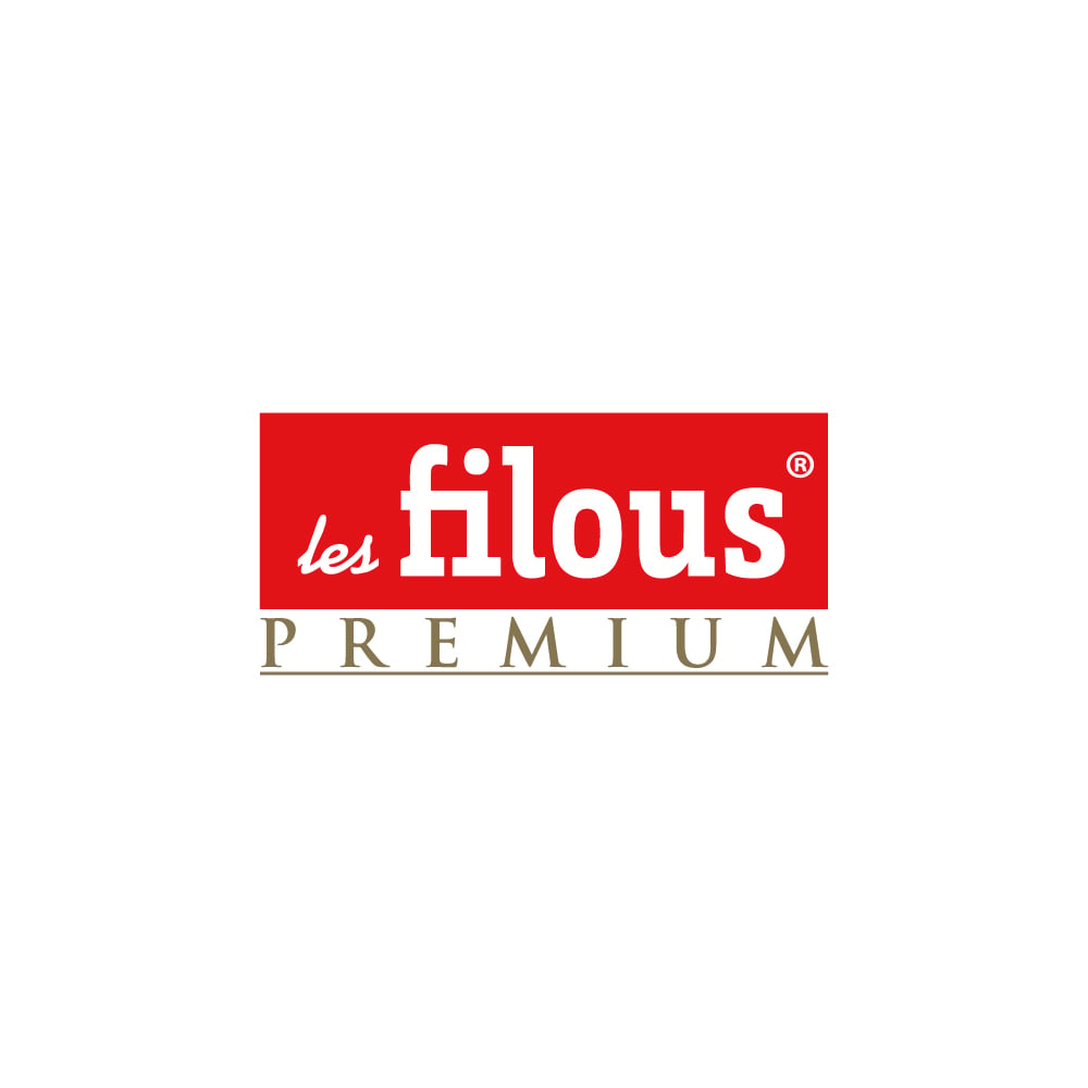 logo-filous_Plan de travail 1
